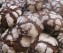 Chocolade-Pecanoten koekjes